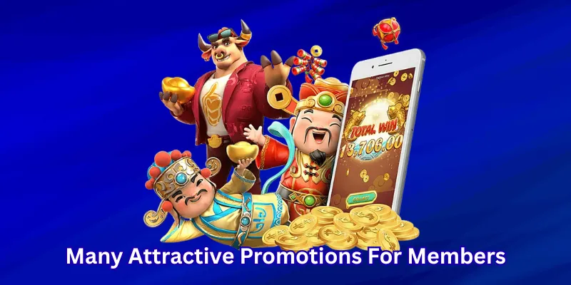 Many Attractive Promotions For Members