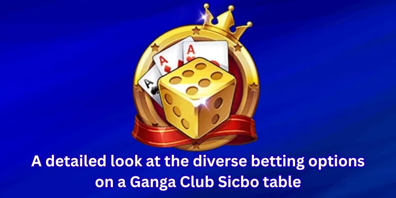A detailed look at the diverse betting options on a Ganga Club Sicbo table